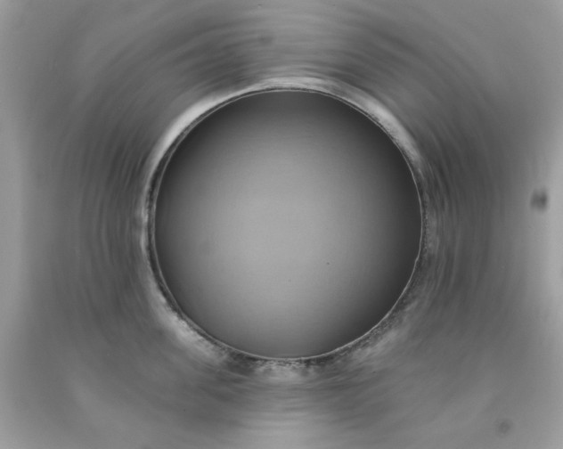 X0000091580955200709051058