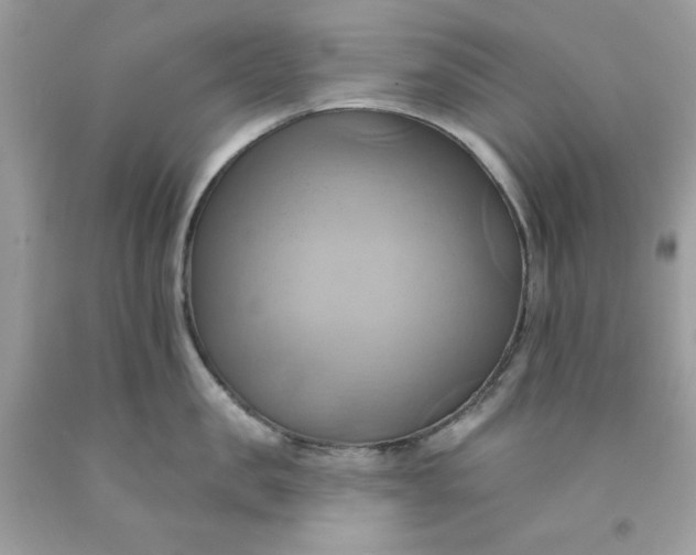 X0000091580957200709051058