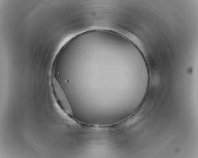 X0000091580958200709051058