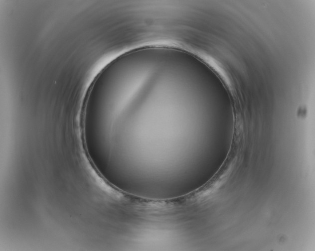 X0000091580959200709051058