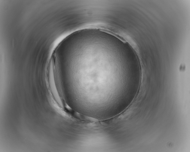 X0000091580960200709051058