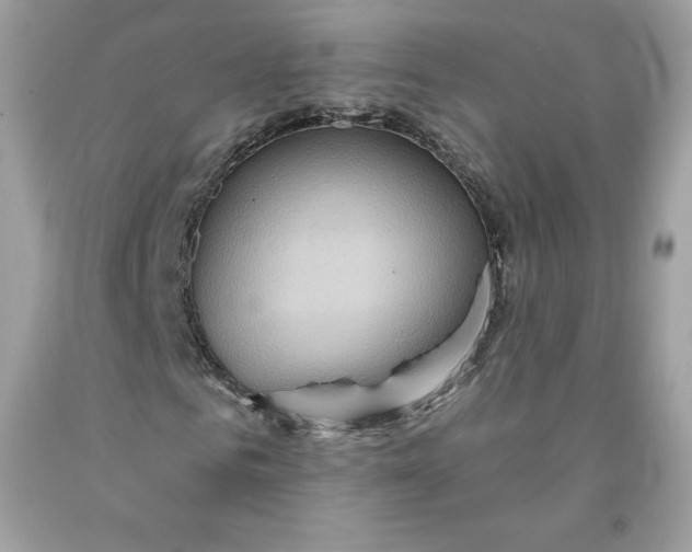 X0000091580961200709051057