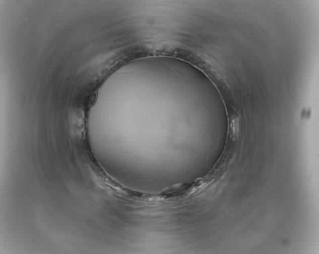 X0000091580963200709051057