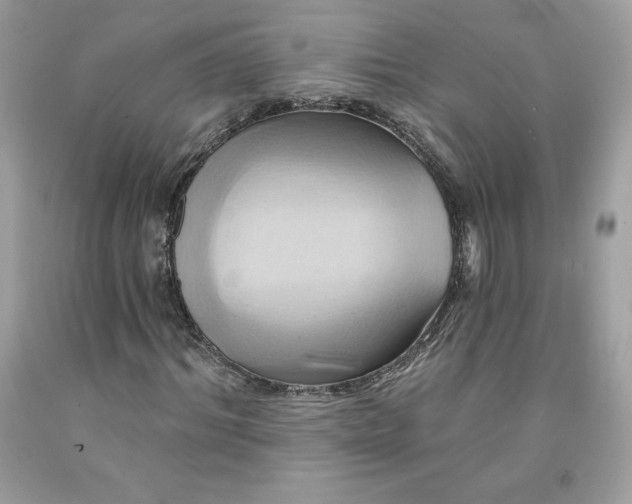 X0000091580964200709051057