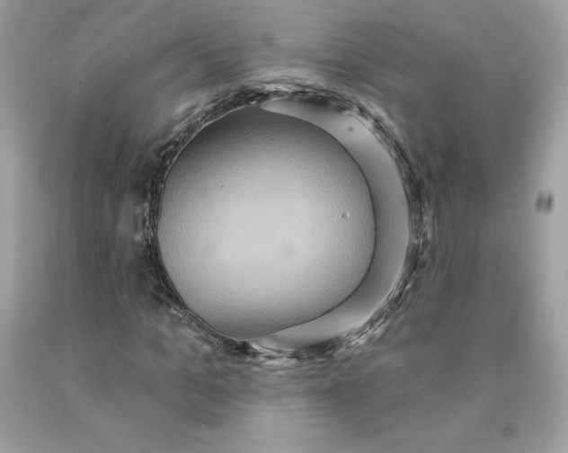 X0000091580965200709051057