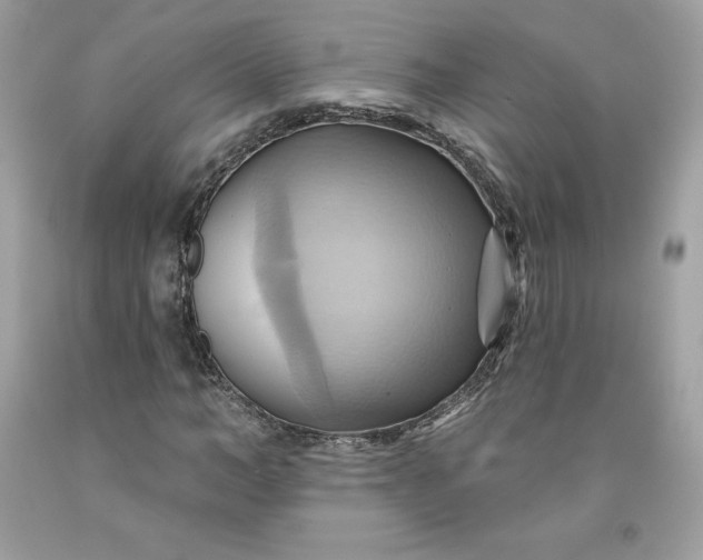 X0000091580966200709051057