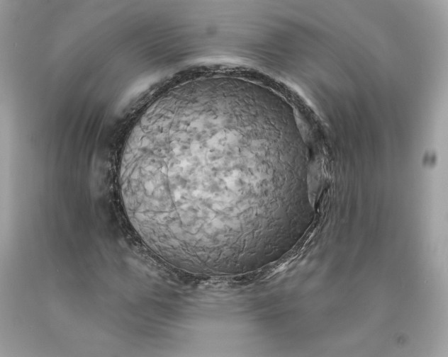 X0000091580967200709051057