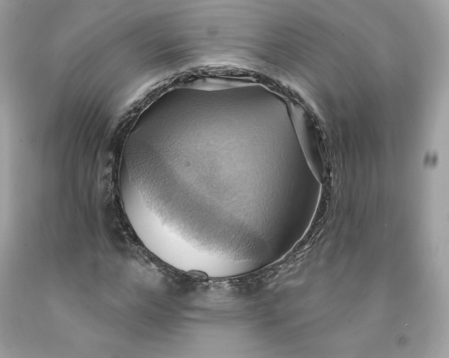 X0000091580968200709051057