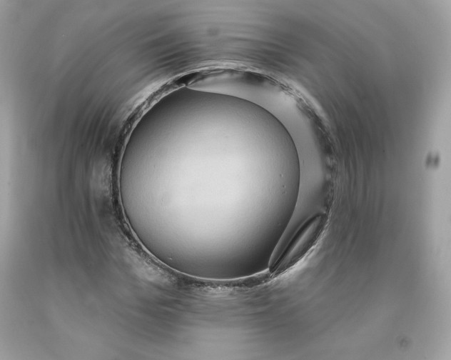 X0000091580969200709051057