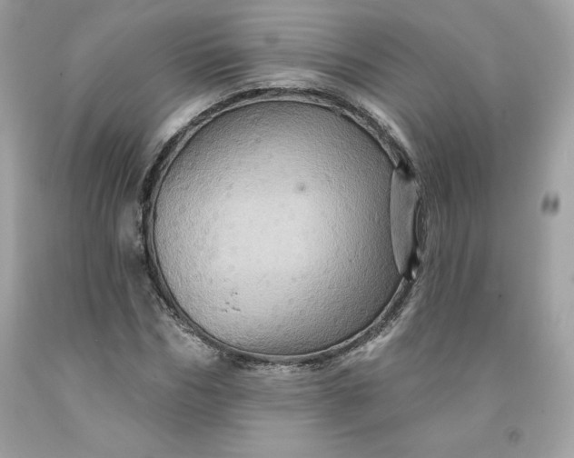 X0000091580970200709051057