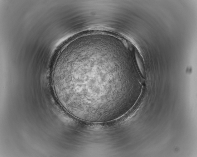 X0000091580971200709051057