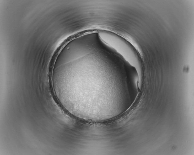 X0000091580972200709051057