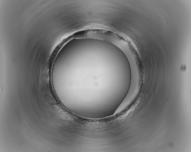 X0000091580973200709051057