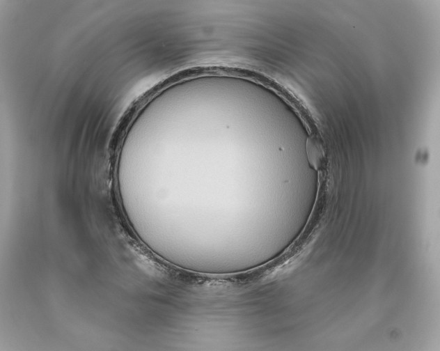 X0000091580974200709051057