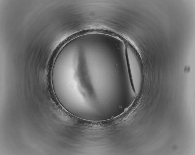 X0000091580975200709051057