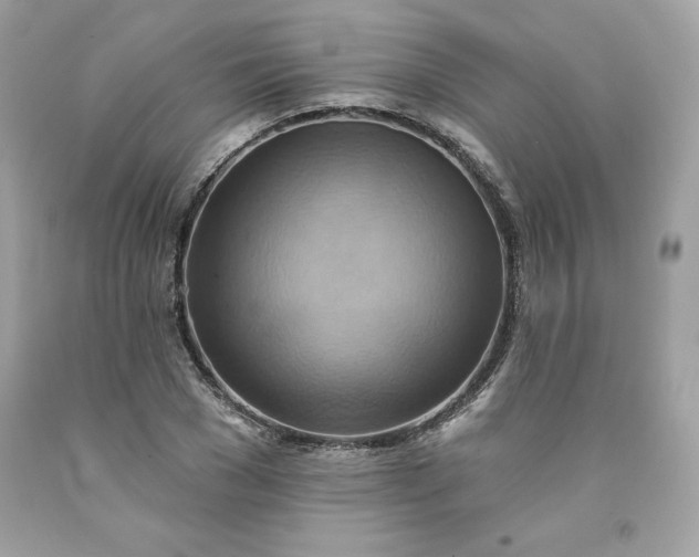 X0000091580977200709051057