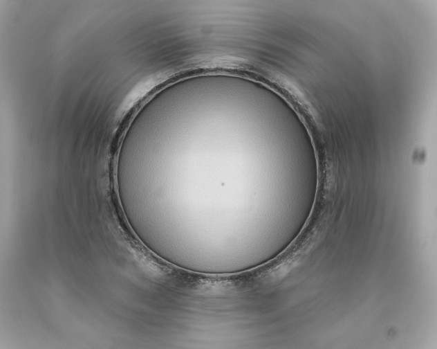 X0000091580978200709051057