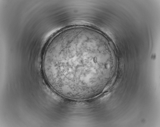 X0000091580979200709051057