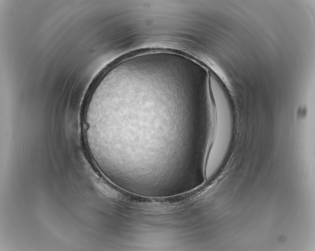 X0000091580980200709051057