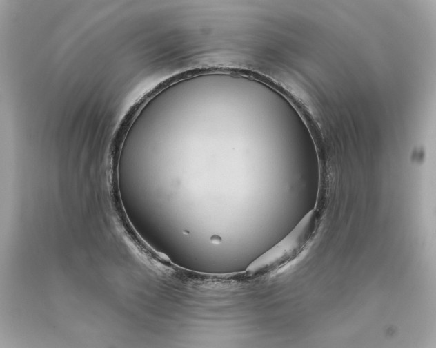 X0000091580981200709051057