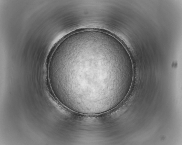 X0000091580982200709051057