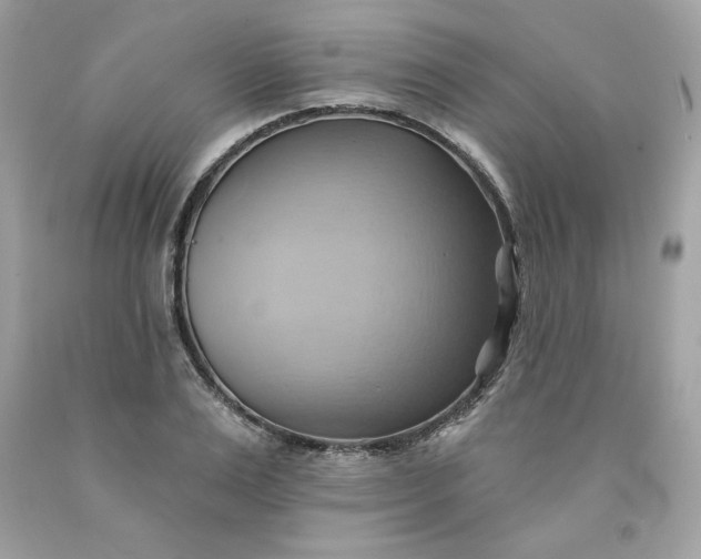 X0000091580983200709051057