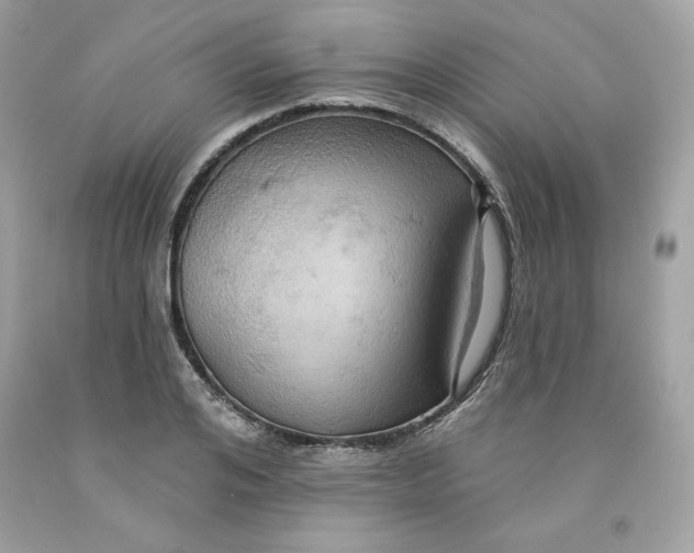 X0000091580984200709051057