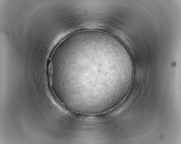 X0000091580986200709051057