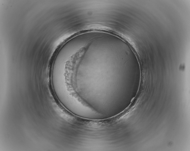 X0000091580987200709051057