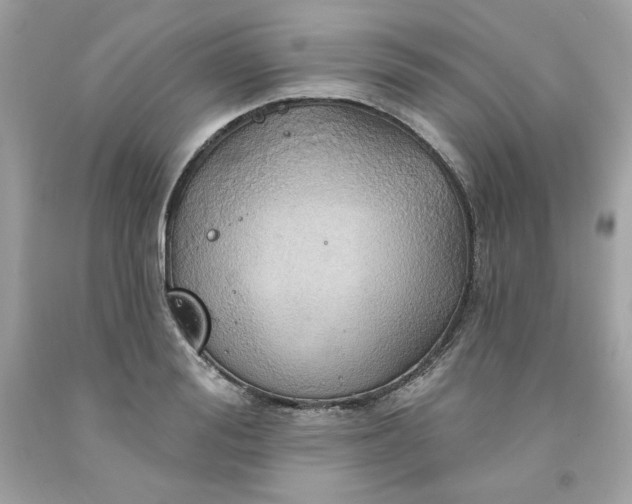 X0000091580988200709051057