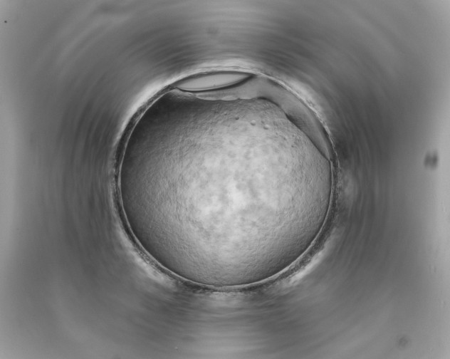 X0000091580989200709051057