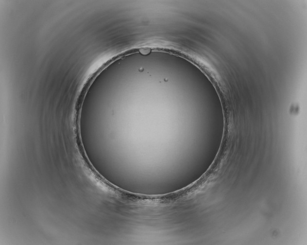 X0000091580990200709051057