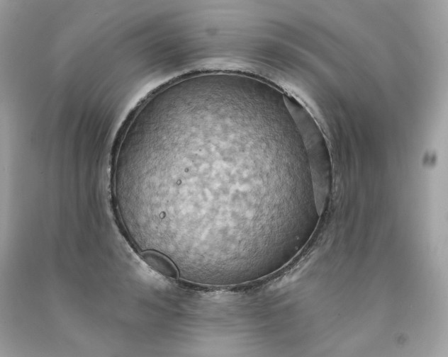 X0000091580992200709051056