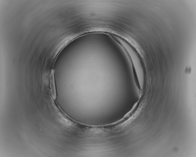 X0000091580993200709051056