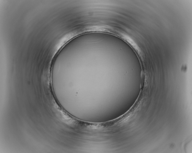 X0000091580994200709051056