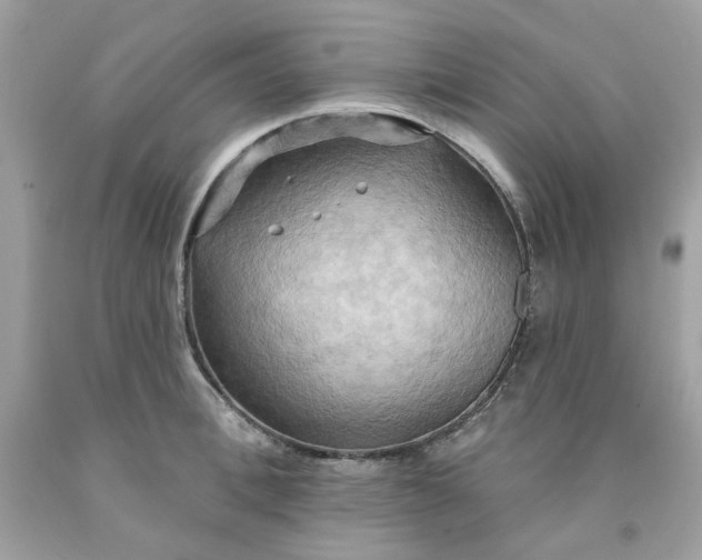 X0000091580996200709051056