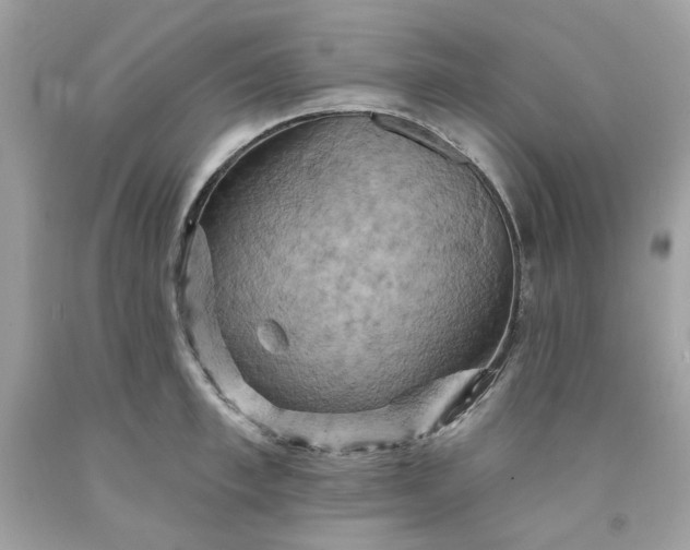 X0000091580997200709051056