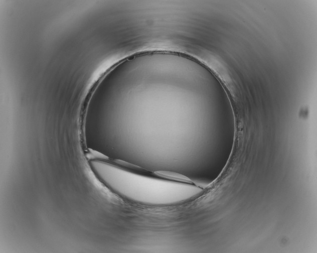 X0000091580998200709051056