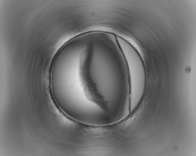 X0000091580999200709051056