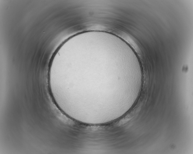 X0000091581000200709051056