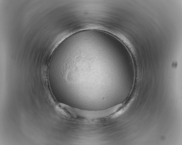 X0000091581001200709051056