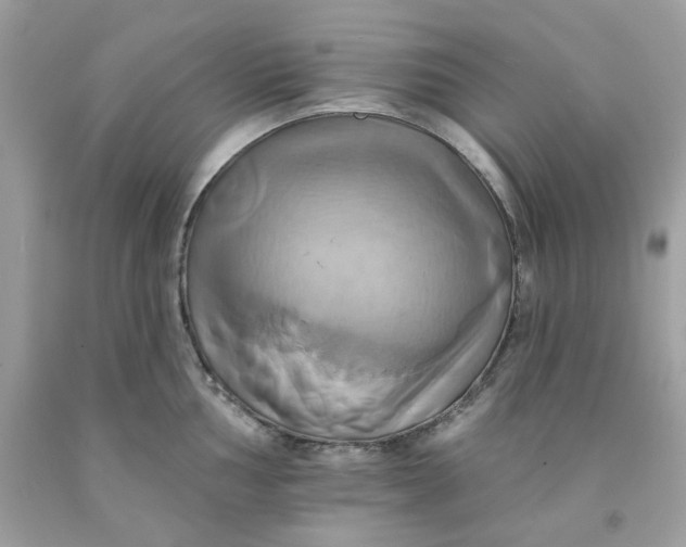 X0000091581002200709051056