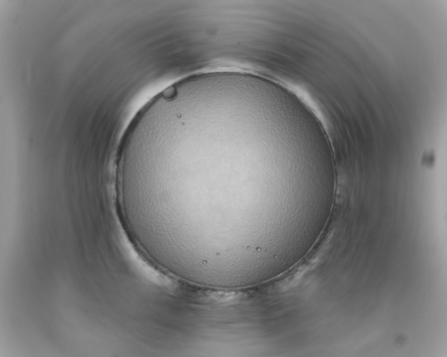 X0000091581003200709051056