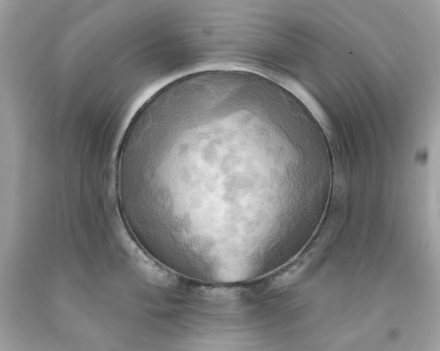 X0000091581004200709051056