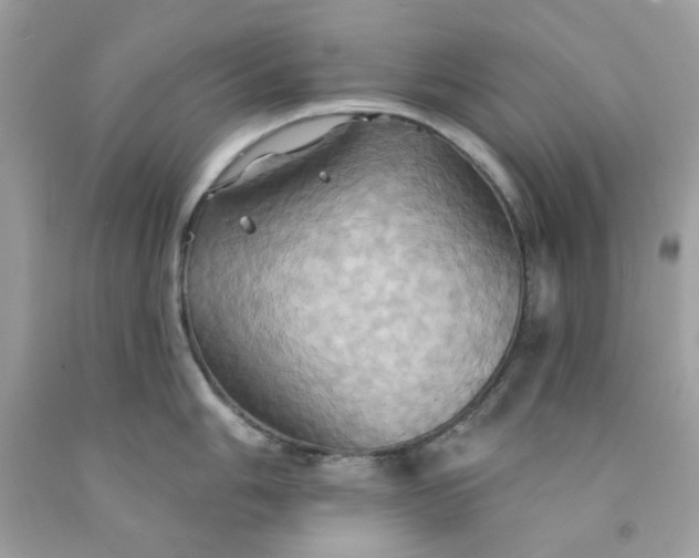 X0000091581006200709051056