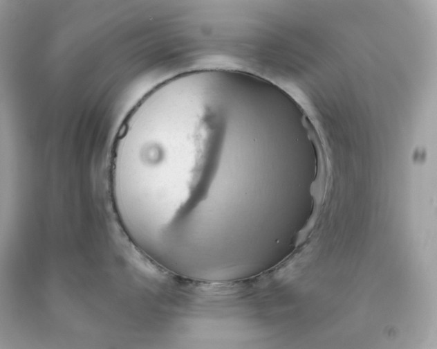 X0000091581008200709051056