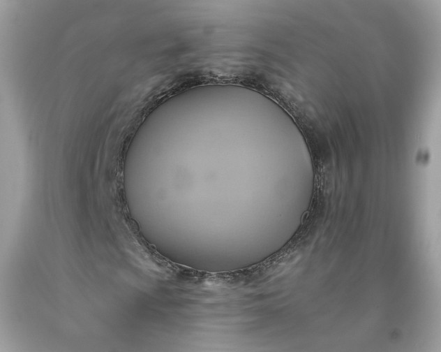 X0000091581009200709051056