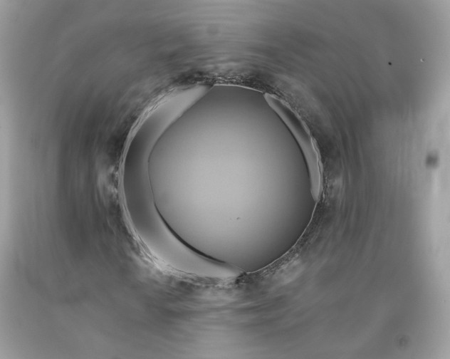 X0000091581010200709051056