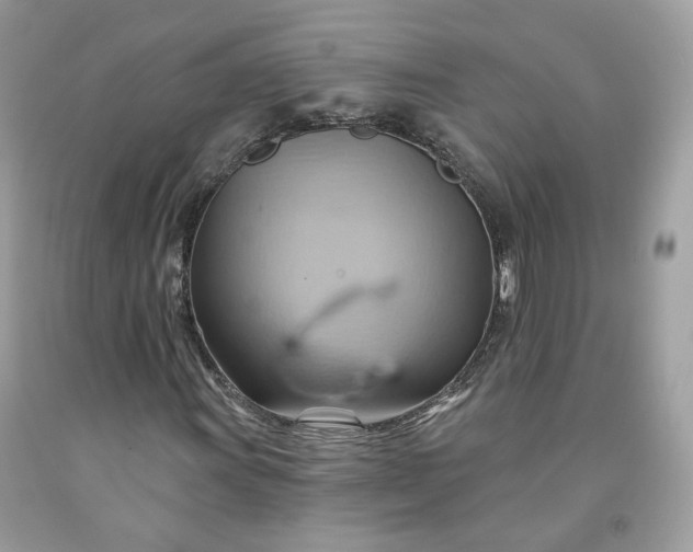 X0000091581011200709051056