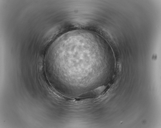 X0000091581012200709051056